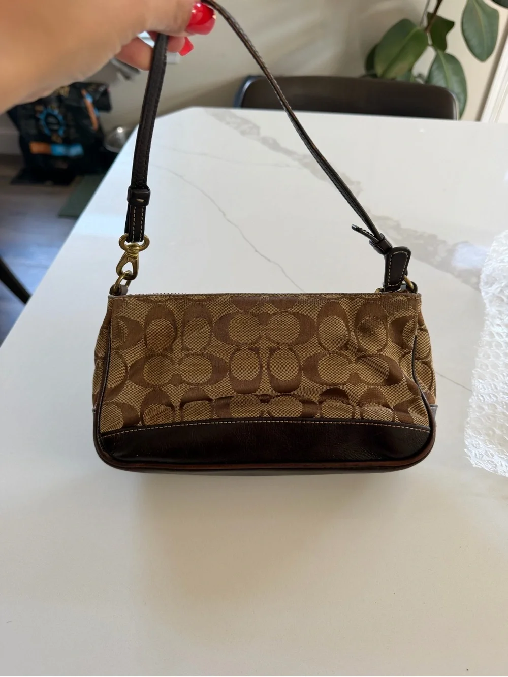 Coach Signature Demi Shoulder Bag